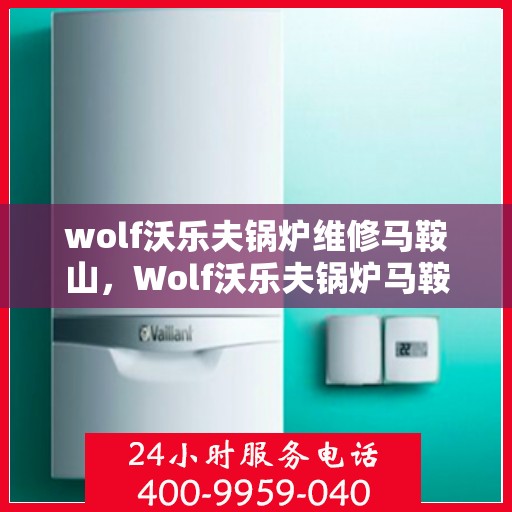 wolf沃乐夫锅炉维修马鞍山，Wolf沃乐夫锅炉马鞍山专业维修服务
