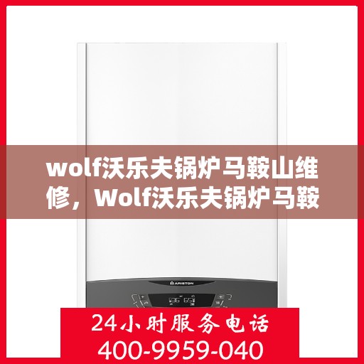 wolf沃乐夫锅炉马鞍山维修，Wolf沃乐夫锅炉马鞍山专业维修服务