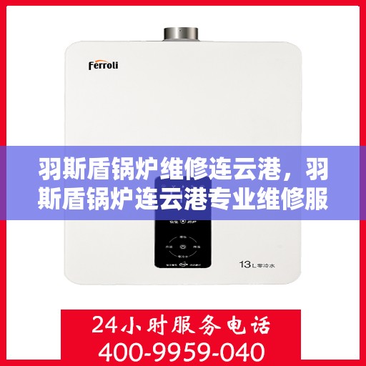 羽斯盾锅炉维修连云港，羽斯盾锅炉连云港专业维修服务