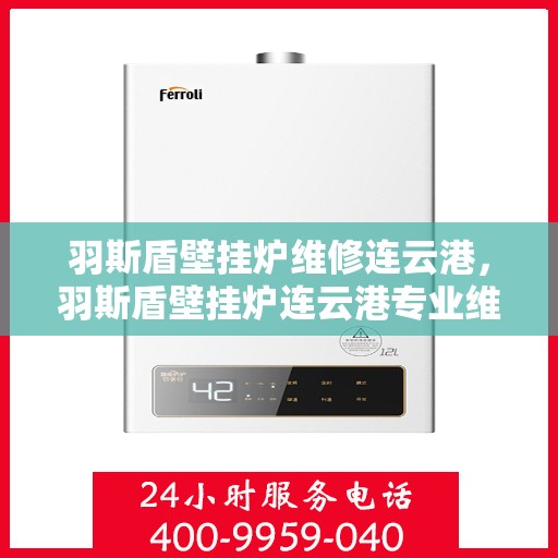 羽斯盾壁挂炉维修连云港，羽斯盾壁挂炉连云港专业维修服务