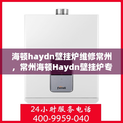 海顿haydn壁挂炉维修常州，常州海顿Haydn壁挂炉专业维修服务