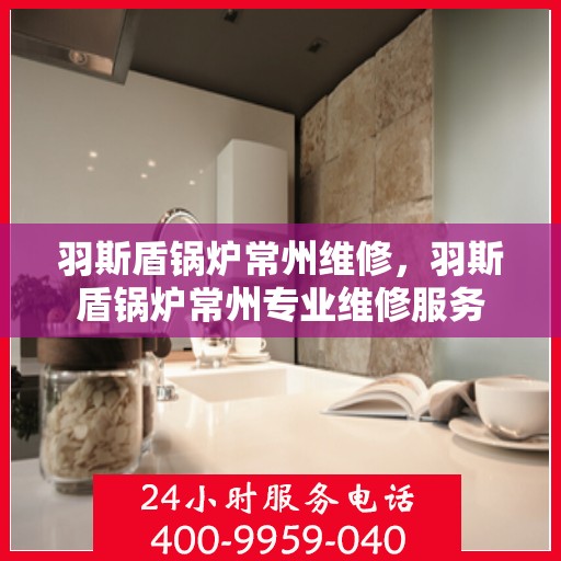 羽斯盾锅炉常州维修，羽斯盾锅炉常州专业维修服务