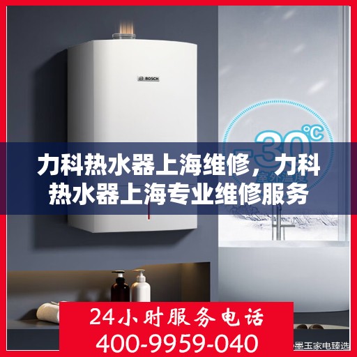 力科热水器上海维修，力科热水器上海专业维修服务