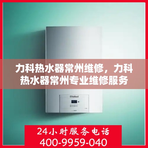 力科热水器常州维修，力科热水器常州专业维修服务