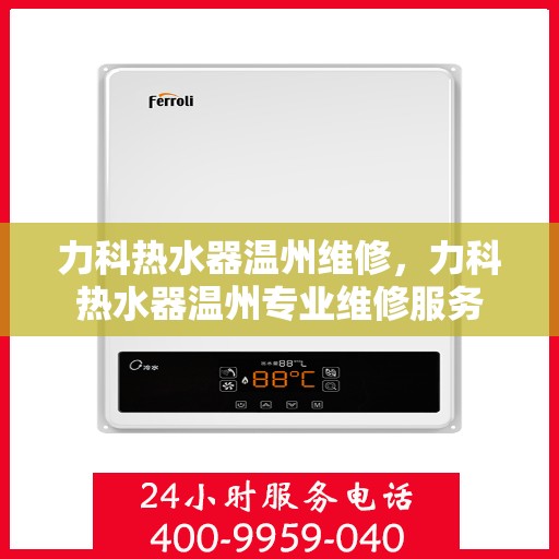力科热水器温州维修，力科热水器温州专业维修服务