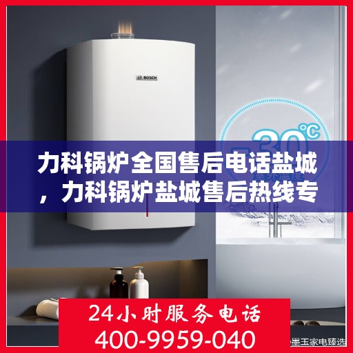 力科锅炉全国售后电话盐城，力科锅炉盐城售后热线专业服务，全国售后电话便捷通道
