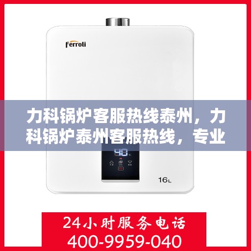 力科锅炉客服热线泰州，力科锅炉泰州客服热线，专业解答，贴心服务