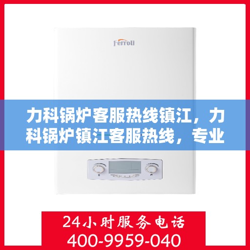 力科锅炉客服热线镇江，力科锅炉镇江客服热线，专业解答，贴心服务