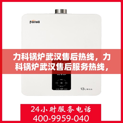 力科锅炉武汉售后热线，力科锅炉武汉售后服务热线，专业解决您的锅炉问题