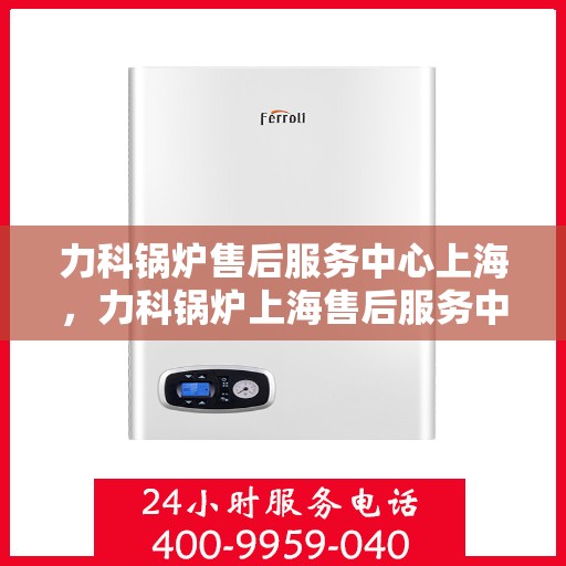 力科锅炉售后服务中心上海，力科锅炉上海售后服务中心，专业维修与优质服务同步进行