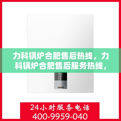 力科锅炉合肥售后热线，力科锅炉合肥售后服务热线，专业解决您的锅炉问题