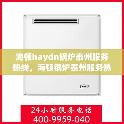 海顿haydn锅炉泰州服务热线，海顿锅炉泰州服务热线，专业团队，贴心服务